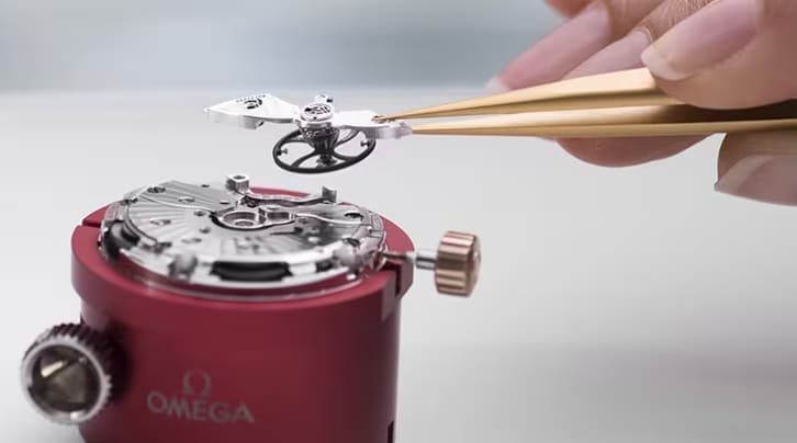How do you become a watchmaker online